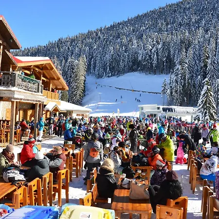 Apartamento Penthouse At Dream Bansko