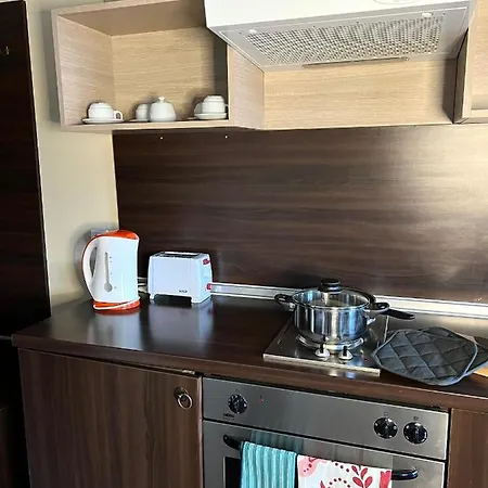 Апартаменты Penthouse At Dream Банско